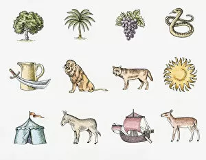 Palm Tree Gallery: Illustration of the twelve symbols of the tribes of Israel, The sun, pitcher with sword, lion