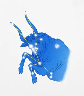 Glowing Prints: Illustration of Taurus star constellation also represented rearing bull