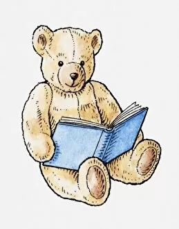 Images Dated 30th April 2010: Illustration of teddy bear with book