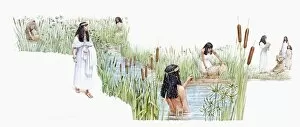 Riverbank Gallery: Illustration of Thermuthis bathing in River Nile as Jochebed holds baby Moses in basket made of bulrushes on riverbank