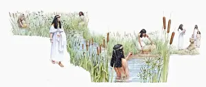Riverbank Prints: Illustration of Thermuthis bathing in River Nile as Jochebed holds baby Moses in basket made of bulrushes on riverbank
