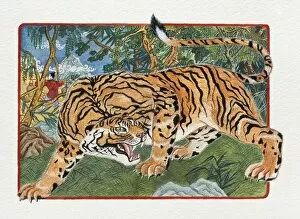 Illustration of Tiger Passing Through The Forest, representing Chinese Year Of The Tiger