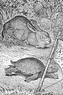Tortoise Prints: Illustration of the Tortoise and the Hare by Louis John Rhead
