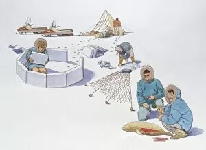 Illustration of traditional Inuit hunting methods and constructing igloo contrasting with modern sno