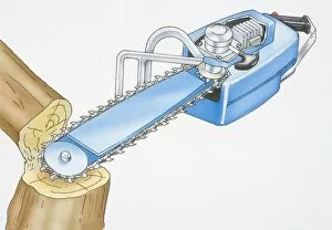 Illustration, tree trunk being sawn in two by electric chain saw