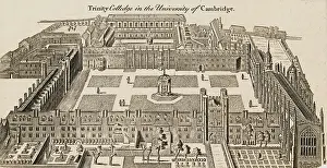 Illustration of Trinity College