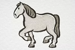Perissodactyla Gallery: Illustration, trotting Horse (Equus caballus ), side view