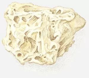 Images Dated 7th July 2011: Illustration of tufa rock