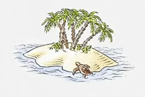 Illustration of turtle climbing onto small island in sea