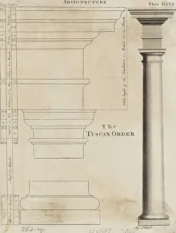 Tuscan Prints: Illustration Tuscan Order of Columns