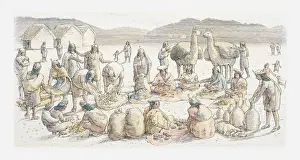 Llama Prints: Illustration of typical Andean market scene
