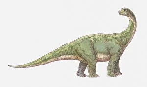 Illustration of Tyrannosaurus dinosaur