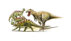 Illustration of a Tyrannosaurus Rex in pursuit of herd of Iguanodon dinosaurs
