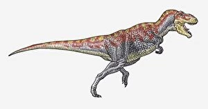 Images Dated 15th February 2010: Illustration of Tyrannosaurus theropod dinosaur