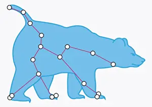 Astrology Prints: Illustration of Ursa Major constellation represented as bear
