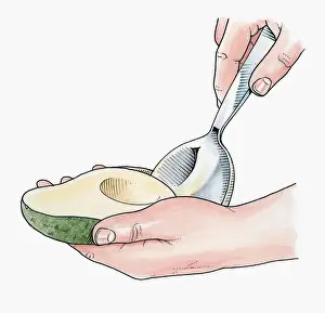 Spoon Prints: Illustration of using large spoon to remove avocado flesh from skin
