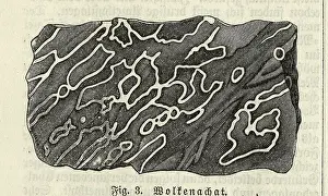 Mineral Prints: Illustration Of Variegated Mineral Vein