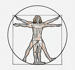 Illustration of Vitruvian man symbol