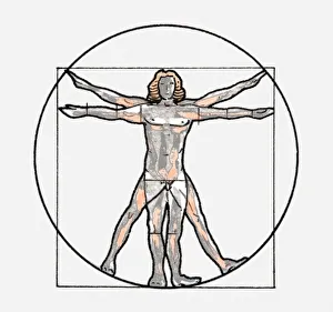 Images Dated 26th April 2010: Illustration of Vitruvian man symbol
