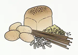 Ingredients Prints: Illustration of wholemeal bread, pasta, grain, and raw potatoes