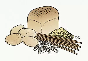 Illustration of wholemeal bread, pasta, grain, and raw potatoes