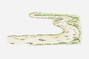 Images Dated 4th January 2011: Illustration of winding path