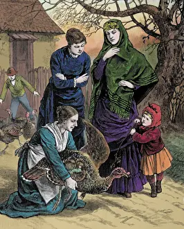 Illustration of Women Selecting a Thanksgiving Turkey