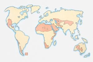 Images Dated 16th June 2010: Illustration of world map showing areas of desertification
