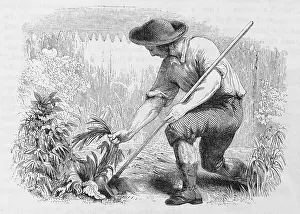 Illustration of Young Benjamin Franklin in a Garden