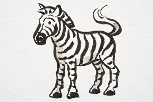 Cartoons Prints: Illustration, Zebra (Equus zebra) standing with its tail curled up, side view