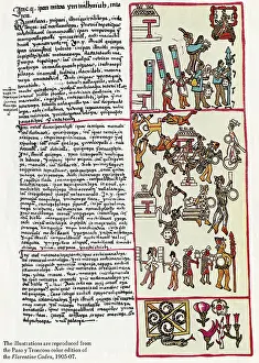 Illustrations From Florentine Codex