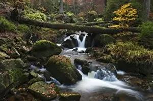 Harz Gallery: Ilse brook with rapids, Ilsefaelle waterfalls in autumn, Ilsetal valley, Harz region