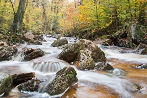 Images Dated 24th October 2014: Ilsetal valley in autumn, near Ilsenburg, Saxony-Anhalt, Germany