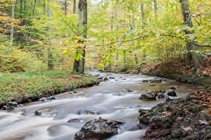 Images Dated 24th October 2014: Ilsetal valley in autumn, near Ilsenburg, Saxony-Anhalt, Germany