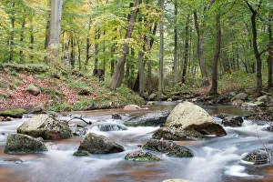 Images Dated 24th October 2014: Ilsetal valley in autumn, near Ilsenburg, Saxony-Anhalt, Germany