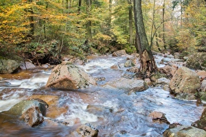 Images Dated 24th October 2014: Ilsetal valley in autumn, near Ilsenburg, Saxony-Anhalt, Germany