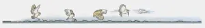 Five Animals Prints: Image sequence illustration of Barn Owl (Tyto alba) hunting for mice at night