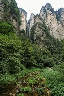 Images Dated 12th September 2015: Impressive mountain needles in Zhangjiajie national park
