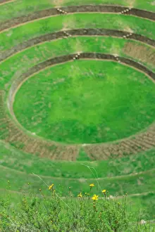 Moray Prints: Inca terraced fields in ruins in Moray, Peru