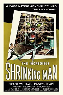 Miniature Prints: The Incredible Shrinking Man