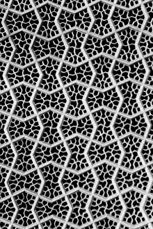 Fill Prints: Indian art work from marble