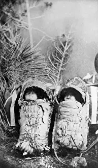 Native Am Prints: Indian Babies In Cradleboards