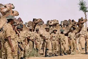 The Indian Camel Corps