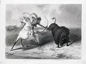 Native Am Prints: Indian On Horse Shooting Buffalo;Bow/Arr