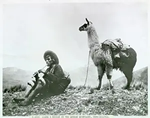 Llama Prints: Indian Resting with Llama