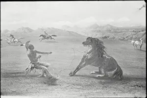 Indifference Prints: Indian Roping Horse