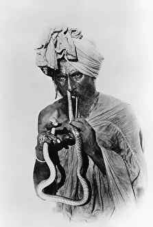 Horror Prints: Indian Snake Charmer with Reptile up His Nose