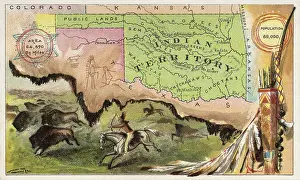 Buffalo Prints: Indian Territory