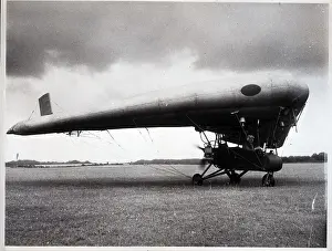 Observation Prints: Inflatable Winged Airplane