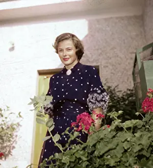 Ingrid Bergman Standing in Rose Garden